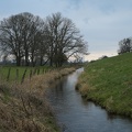 Bachlauf zum Rhein