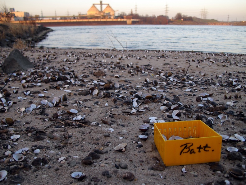 Batteriekasten am Rhein