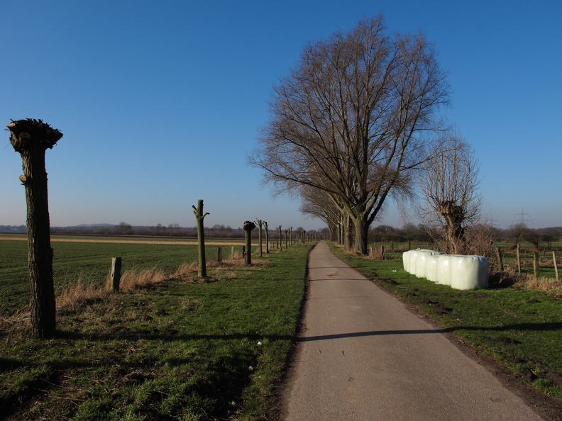 Feldweg im Frühjahr