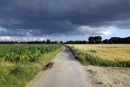 Der Weg zur Kirche (2155 visits) Die kleine Straße führt durch das Feld direkt auf die Baerler Kirche zu. Der Himmel lädt nicht zu... Der Weg zur Kirche
