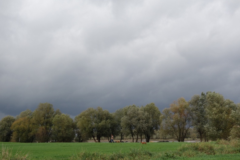 Bei drohendem Regen sind die Rheinwiesen wie leer gefegt. Nur die ambitionierten Hundefreunde sind noch anzutreffen. die_frau_und_die_hunde.jpg