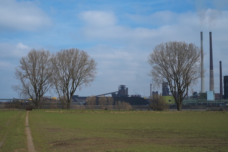Diese Bäume finden sich öfter in der Galerie. Zumeist jedoch von der anderen Seite ohne den Anblick der Industrie. An kalten Tagen kommt die Bewölkung am Rhein von den Wasserdämpfen und Abgasen der rheinnahen Industrie. drei_baeume_industrie.jpg