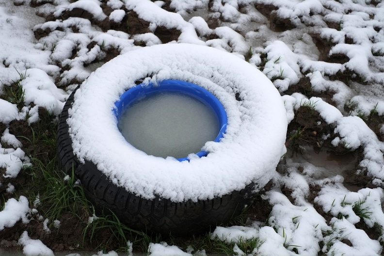 Eingefrorene Wasserstelle