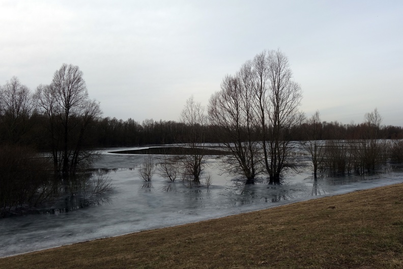 In der kalten Jahreszeit begrenzt sich die Fläche für die Wasservögel erheblich. Das ist einer der Gründe für die Wanderungen vieler Vögel, den so genannten Zugvögeln. eingefrorener_see.jpg
