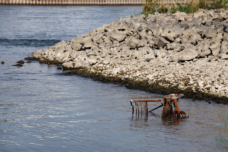 Effkes ne Palette Bier und Grillzeug geholt, ab zum Rhein. Getrunken, Gegessen und die Reste in den Rhein geworfen, den Einkaufswagen gleich hinterher. einkaufswagen_9805.jpg