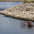 Einkaufswagen im Rhein