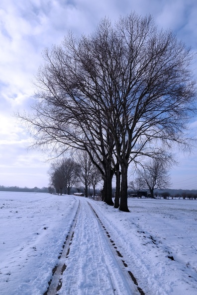 Feldweg im Schnee