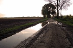 Feldweg im Herbst