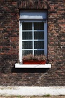 Fenster mit Blumenkasten