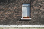 Fensterbank mit Blumen