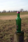 Grüne Flasche am Rhein