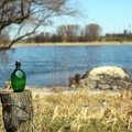 gruene_flasche_am_rhein.jpg