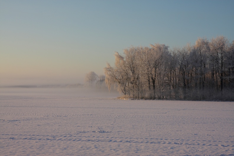 Winternebel