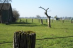Kleine Welt