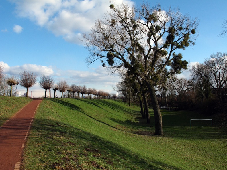 Auf dem Roten Weg