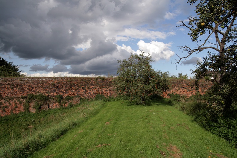 obstwiese_7316.jpg