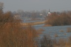 Altrheinarm