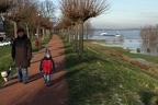 Familie (3345 visits) Die Familie samt Hund geniesst den Ausblick vom Rheindeich. Familie