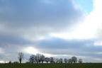 Himmel über der Aue (1813 visits) Die Lichstimmungen im Winter sind vielfältig wenn man bei jedem Wetter raus geht. Himmel über der Aue