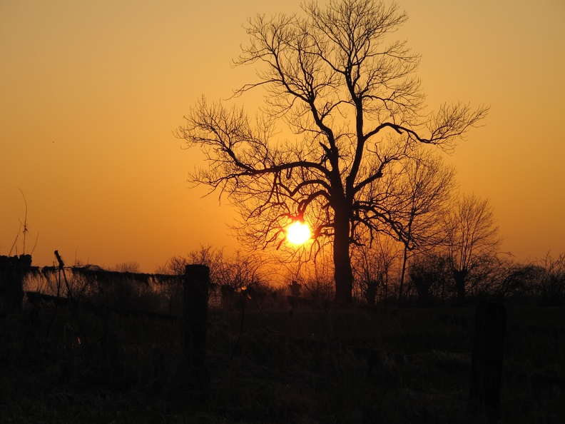 Sonnenuntergang über den Auen