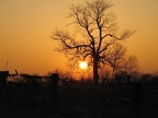 Sonnenuntergang über den Auen