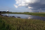 Teich im Feld