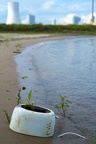 Toaster am Rhein