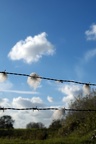 Gefangene Wolken im Zaun