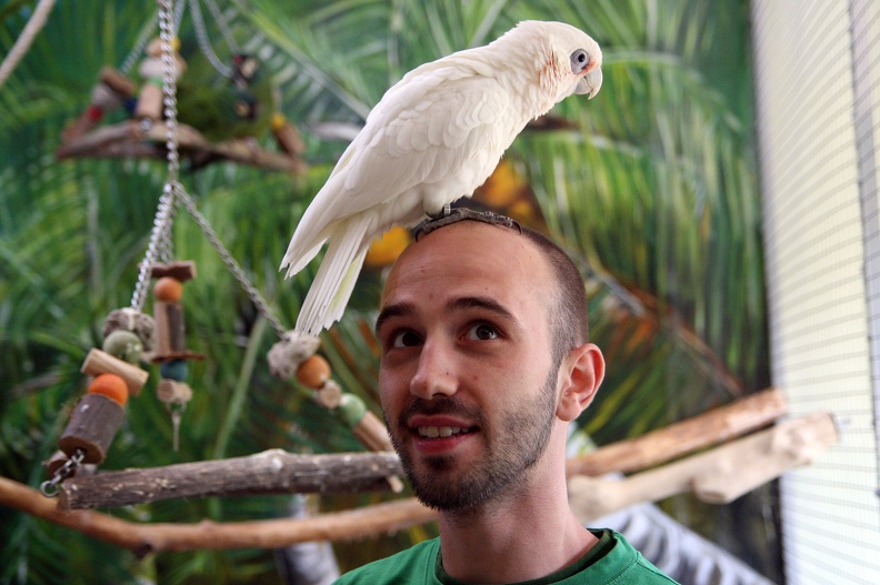 Christian mit Kakadu