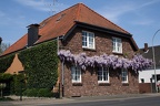 Bewachsenes Haus