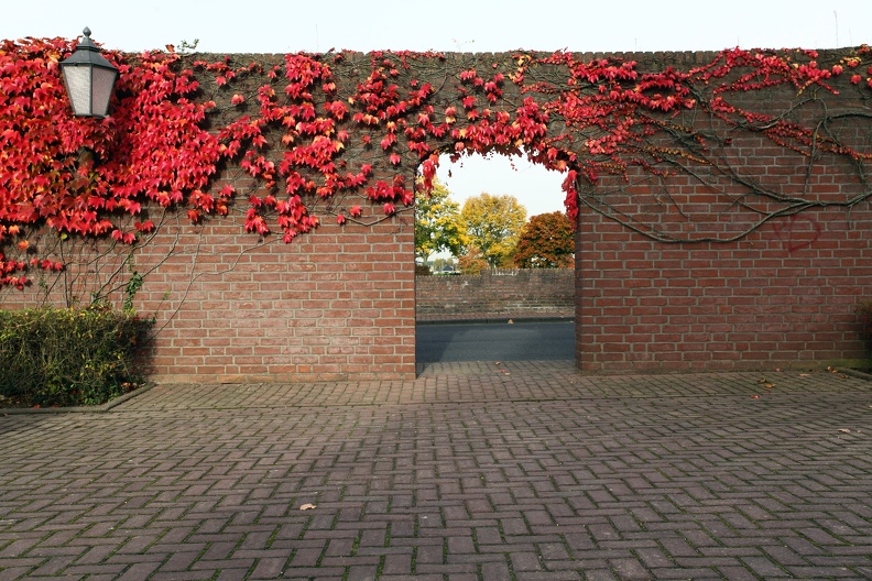 Rote Mauer