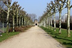 Weg