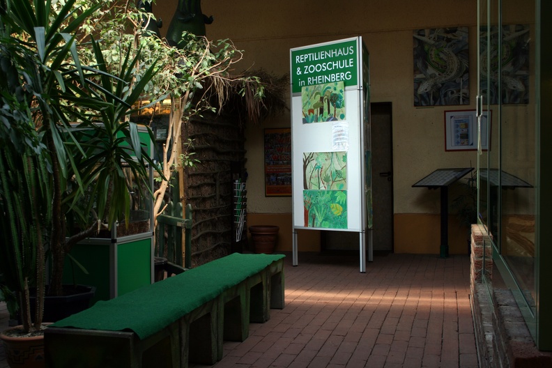Ausstellung der Goethe Schule