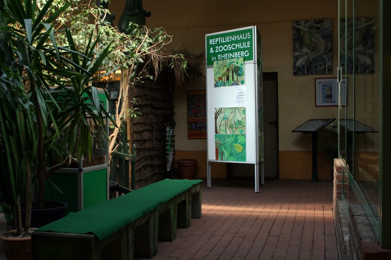 In Kooperation zwischen der Goethe Schule Bochum und TerraZoo entstanden einige Bilder, die zur Osterferienzeit im Zoo ausgestellt wurden. Die Motive - einige Stabschrecken - wurden in dem links zu erkennenden Terrarium präsentiert. ausstellung_gotheschule_3962.jpg
