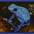 Azurblauer Frosch