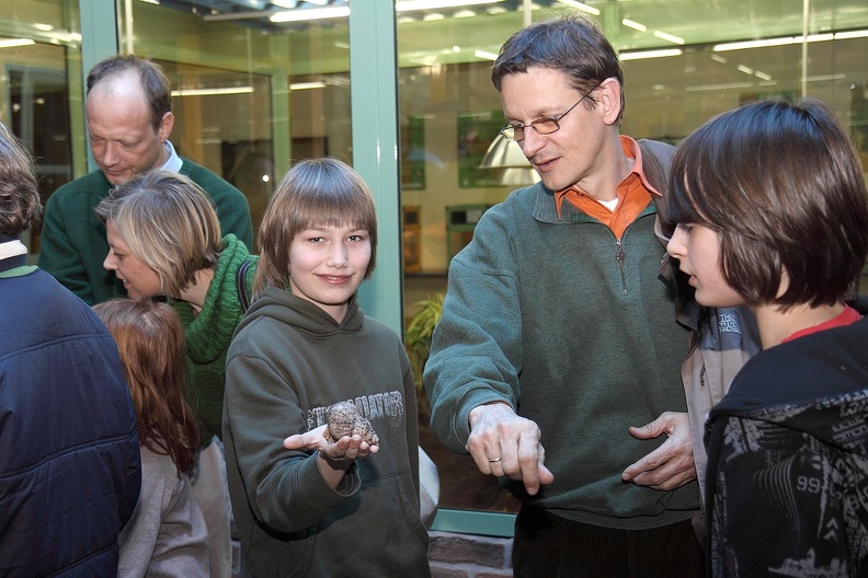 Schnecke auf Hand