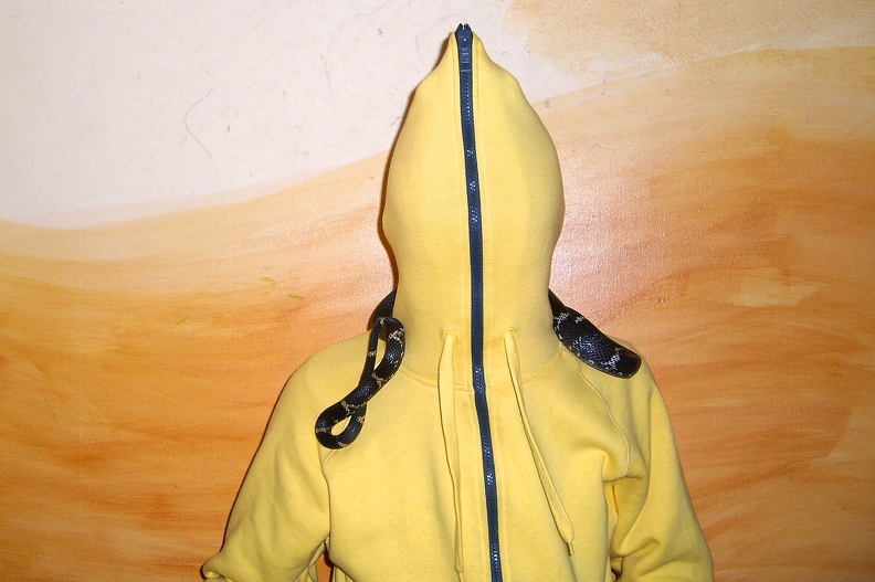 Der Bananenmann ist ein legendärer Schüler der Hauptschule Eisenheim in Oberhausen. Hier ist der Bananenmann zusammen mit der Amurnatter aus China abgebildet, farblich sind die beiden perfekt aufeinander abgestimmt. bananenmann.jpg