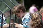 Junge fotografiert (3465 visits) Ein Schüler der 2.Klasse aus Weeze fotografiert Kreuzottern in der großen Freianlage. Das dies nic... Junge fotografiert
