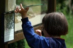 Schilder betrachten (3666 visits) Die Beschilderung in Zoos dient Kindern meist nur für einem ersten Überblick, welche Tiere im Gehe... Schilder betrachten