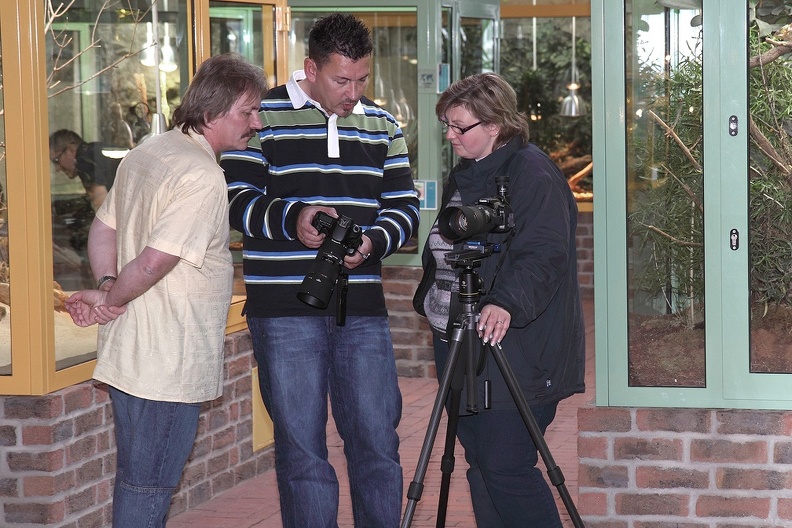 Im TerraZoo zu fotografieren hat viele Vorteile, so sind die Terrarien mindestens von drei Seiten einsehbar und mit echten Pflanzen bepflanzt. Das Fotografentrio kontrolliert hier einige Aufnahmen auf dem Display. fotogruppe_3047.jpg