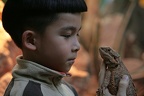 Konfrontation (3949 visits) Der Grundschüler hat hier eine sehr nahe Begegnung mit einer Bartagame. Beide wirken etwas skeptisc... Konfrontation