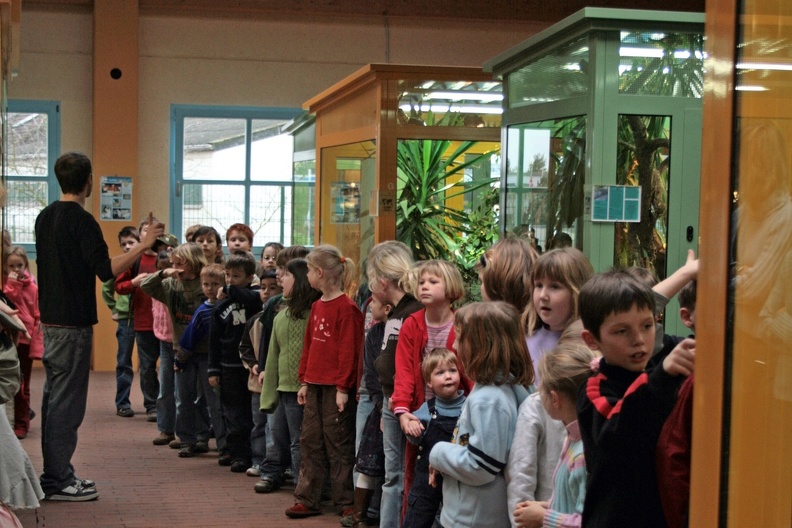 Schüler stehen Schlange um eine Echse zu streicheln. Zootierpfleger Christian erklärt wie es ablaufen wird. schlange_vor_terrarium_2.jpg