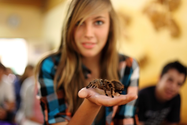 Schülerin mit Vogelspinne