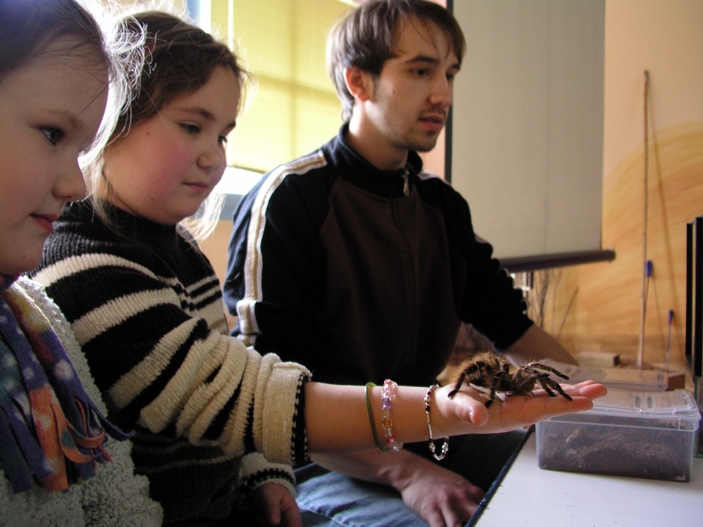 Schüler der 3.Klasse mit einer Vogelspinne. Zootierpfleger Christian Niggemann überwacht die Aktion. spinnenfuehrung_3_klasse.jpg