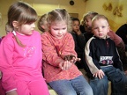 Kindergarten