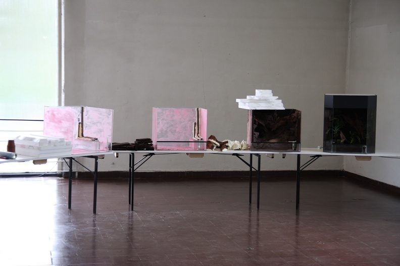 E.N.T. Terrarientechnik