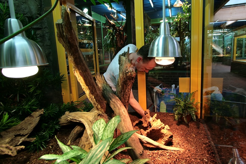 Neben dem Bepflanzen des Terrariums wird auch ein neuer Bodengrund eingebracht. raimond_0226.jpg