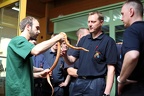 Kornnatter (3591 visits) Zootierpfleger Christian Niggemann zeigt zu Beginn der Übung eine Kornnatter. Kornnatter