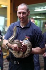 Boa Constrictor (2741 visits) Langsam werden größere Tiere herausgeholt. Die Boa Constrictor ist schon ziemlich kräftig. Boa Constrictor