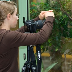 Makrofotografie mit JuZe Zack